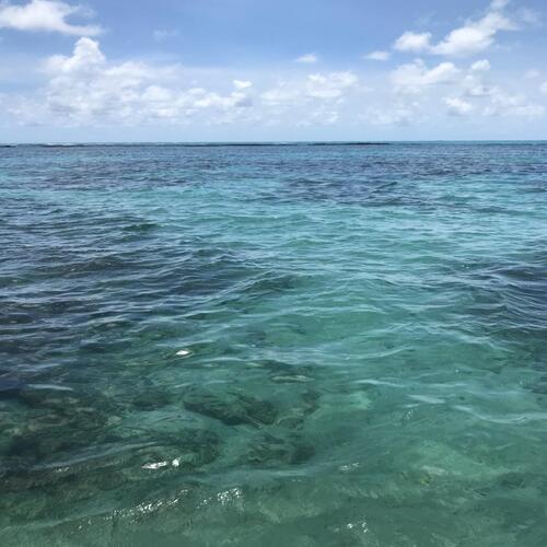 Praia do Patacho