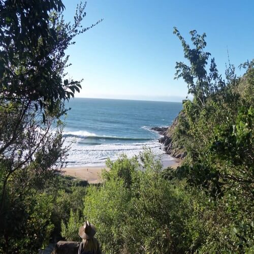 Trilha para Lagoinha do Leste