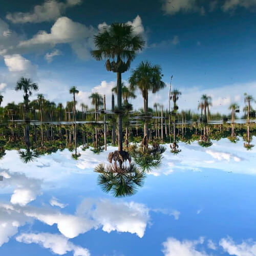 Lagoa das Araras em Nobres