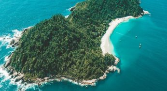 Ilha do Campeche: passeio, dicas e como chegar nesse paraíso