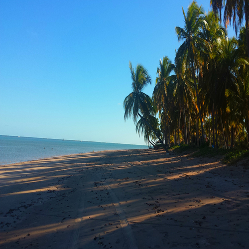 Praia do Patacho em Alagoas