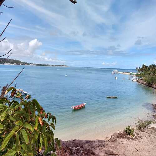Praia do Gunga: conheça essa maravilha no estado de Alagoas