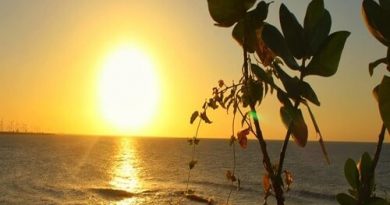 São Miguel do Gostoso: o que fazer, dicas e passeios São Miguel do Gostoso: o que fazer, dicas e passeios