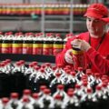 Como trabalhar na Coca-Cola